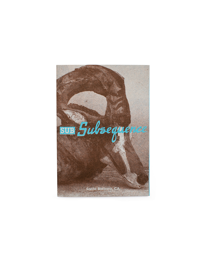 Store Purchase Special Gift：a photo zine “SUB Subsequence”