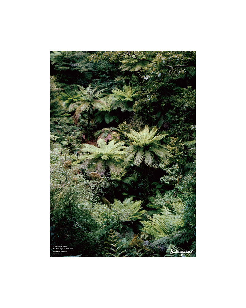Pre-Order Special Gift：a custom A1 size double-sided color poster