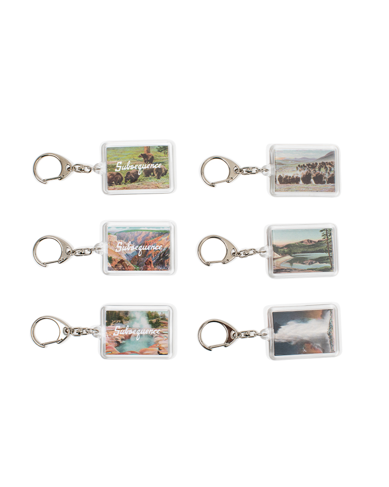 Subsequence Keychains